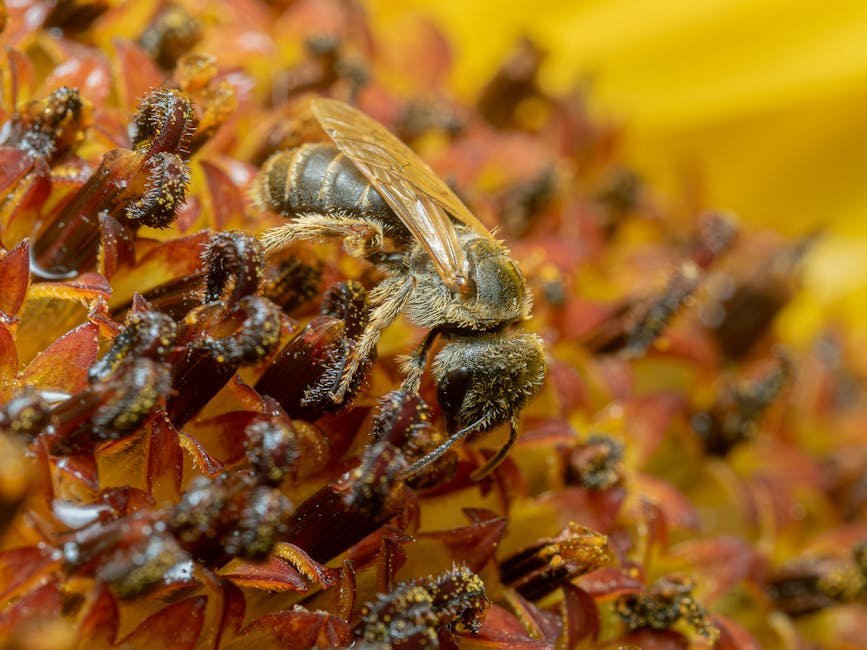 Ants in beehive -> Ants in hive