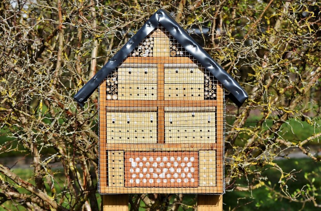 bee box measurements