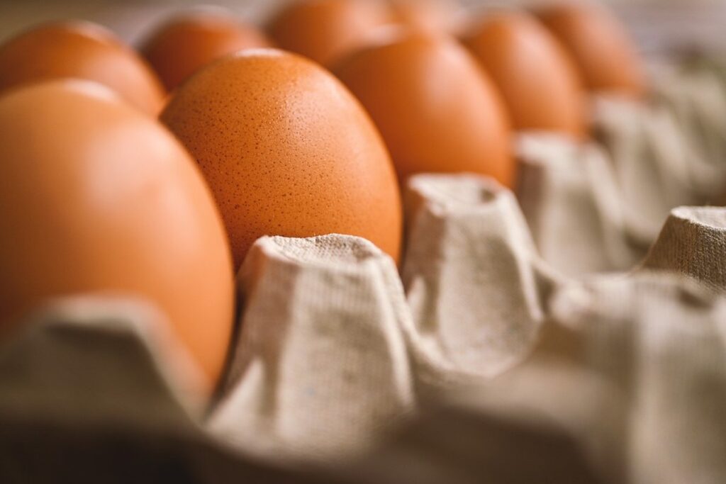 bees lay eggs