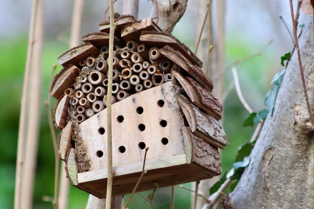 what repels bees and wasps