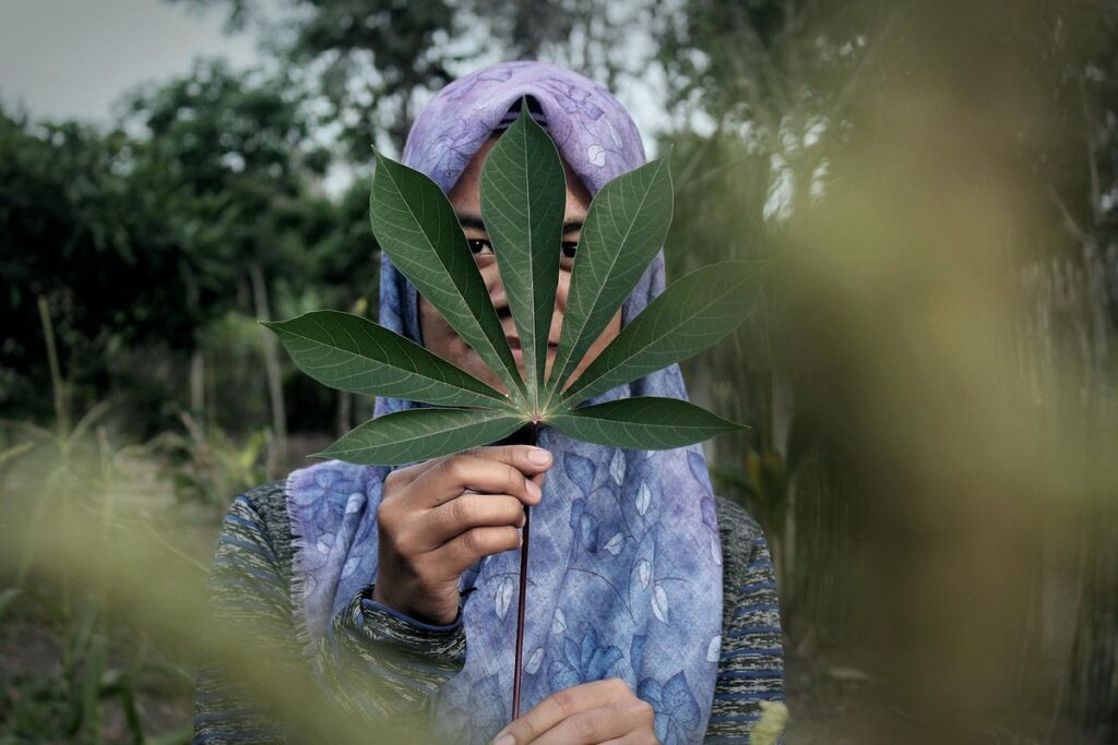 best beekeeping veil