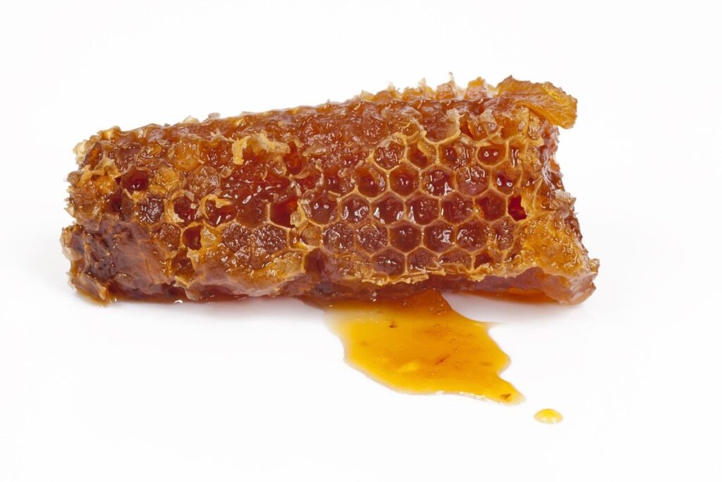 beekeeping propolis