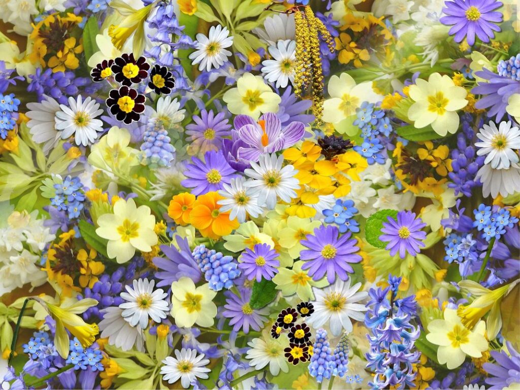 what’s blooming for bees
