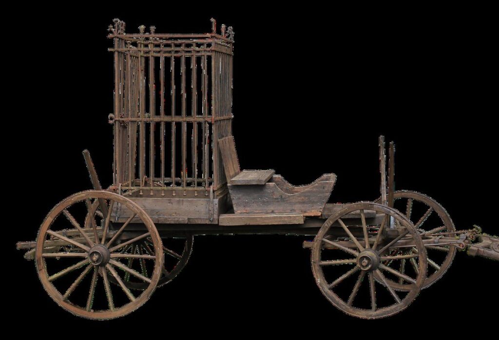 drone cage