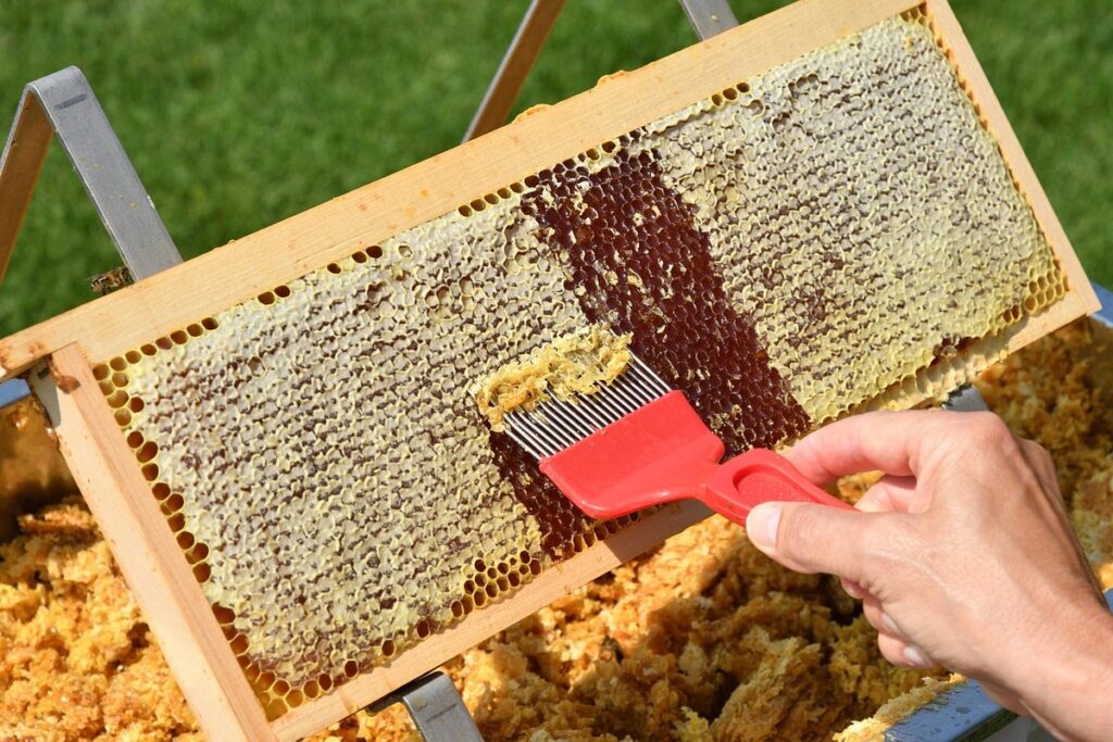 how do you get honey out of the comb