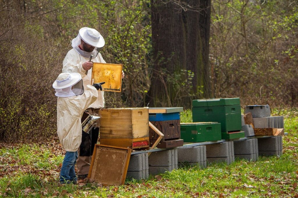 lessons learned from beekeeping