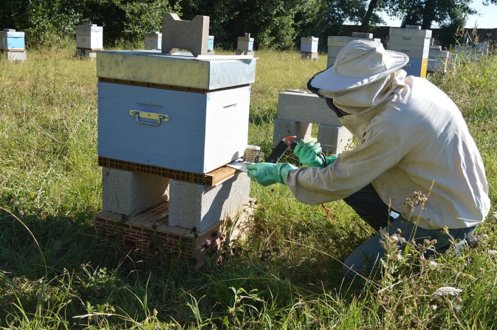 boiling point of oxalic acid for beekeeping