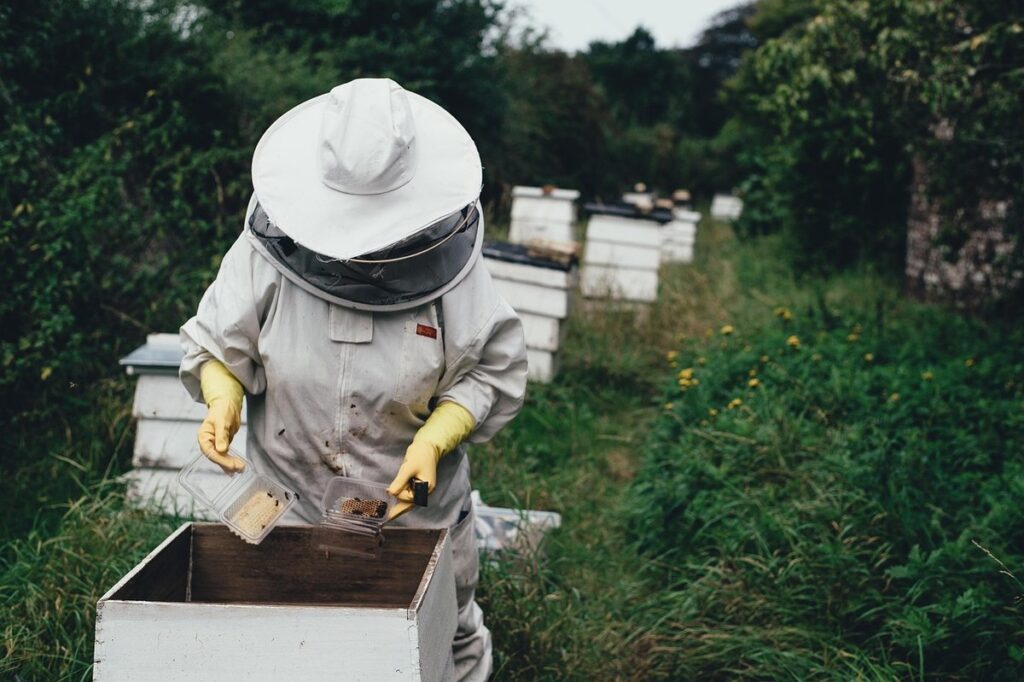 sustainable honey production