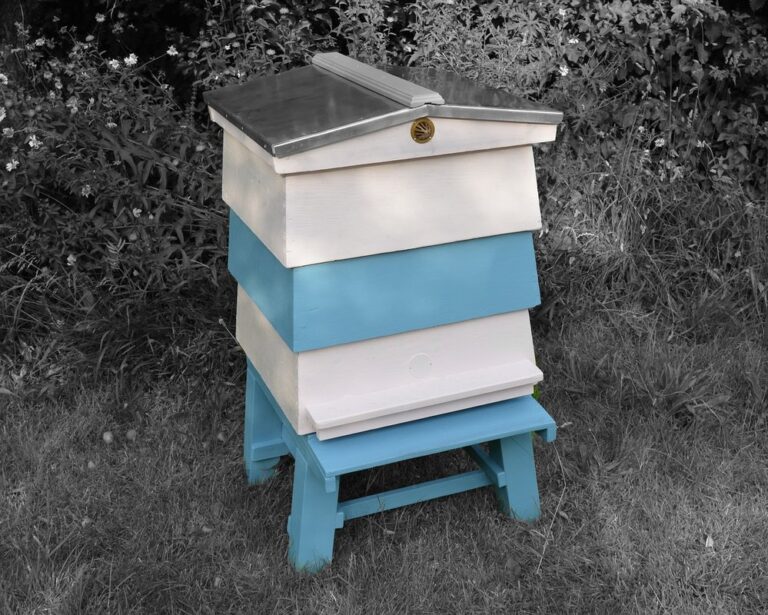 wbc beehive