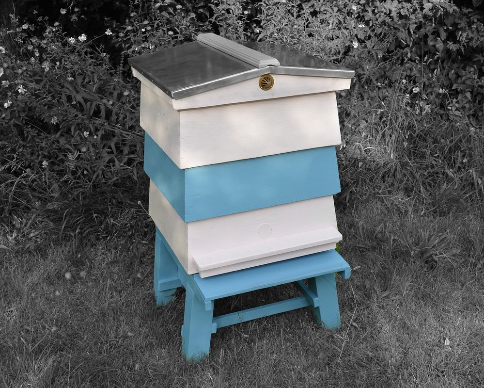 wbc beehive