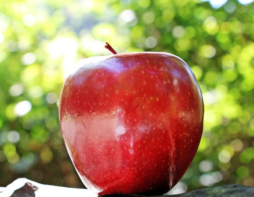 apple rust for beekeepers