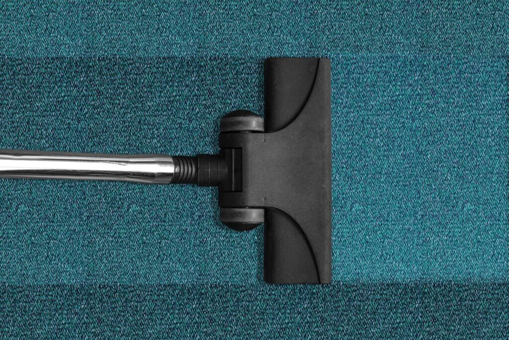 bee vacuum