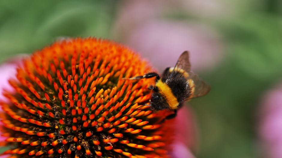 bee with long abdomen -> bee abdomen