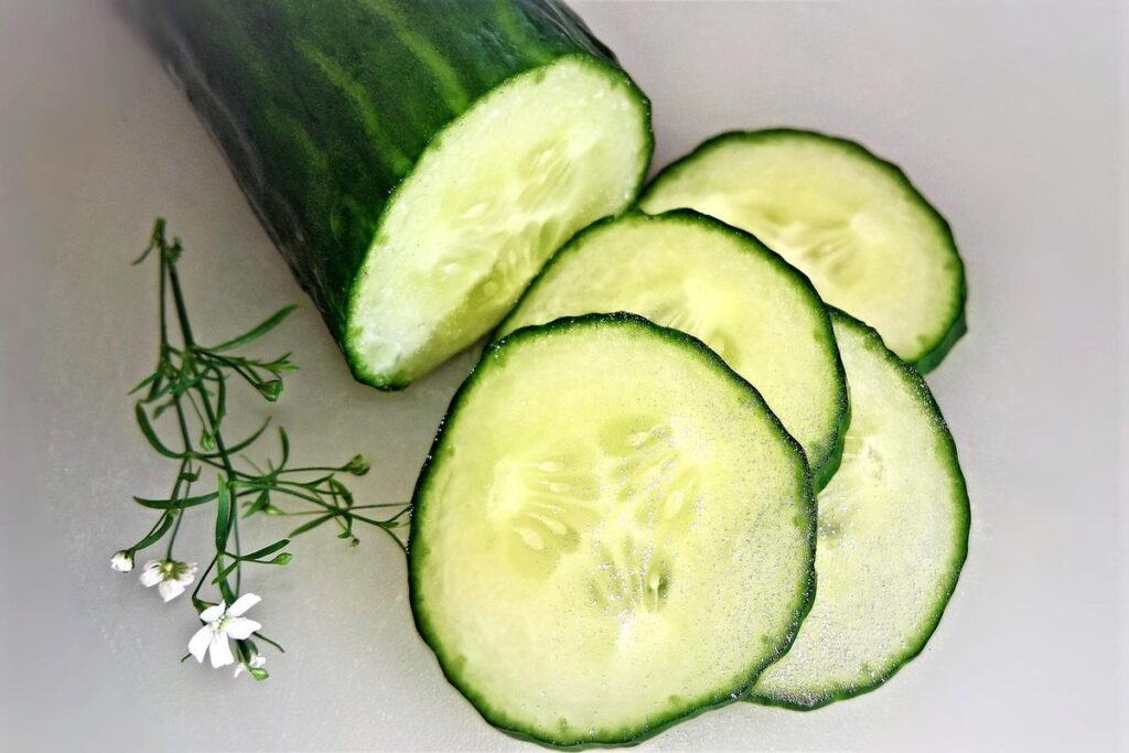 cucumber bugs in apiary management