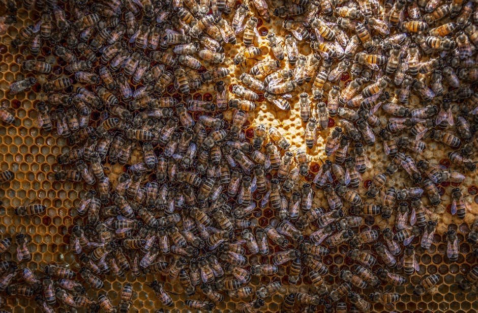 cutworm apiary management -> cutworm in apiary