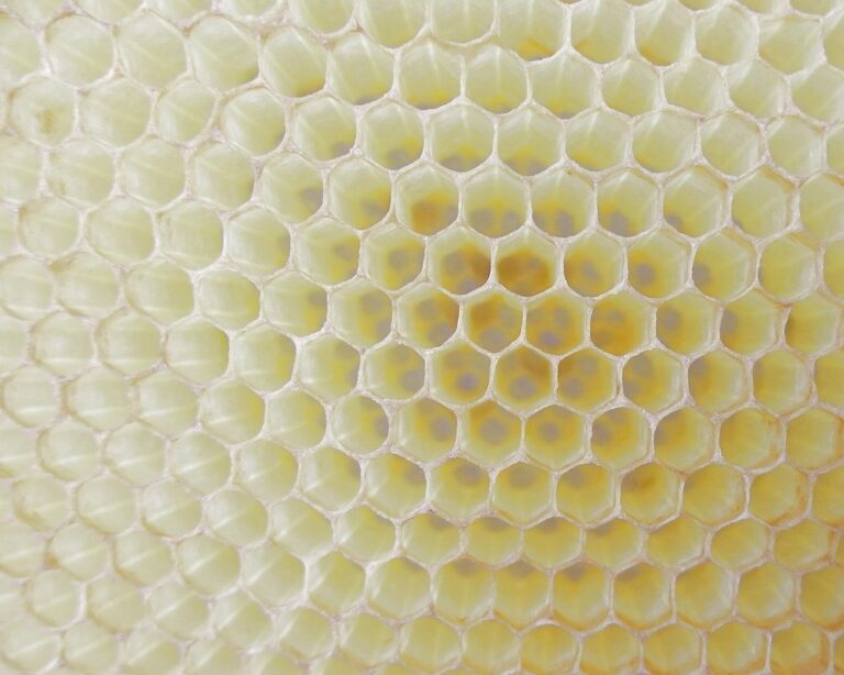 what does honeycomb taste like