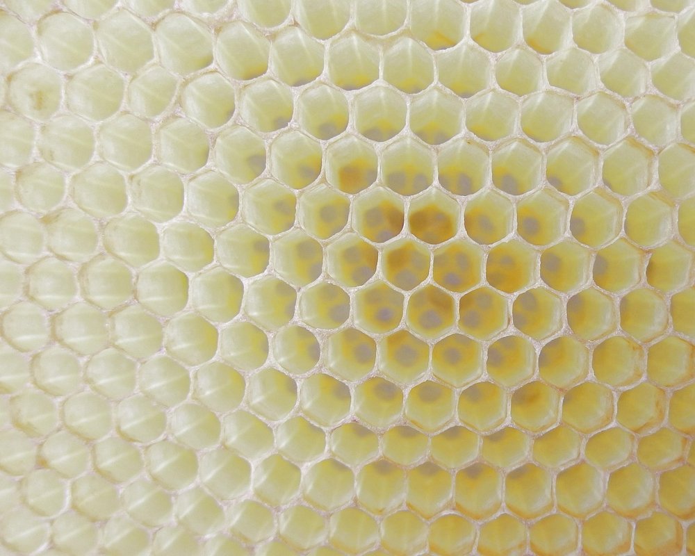 Honeycomb cell