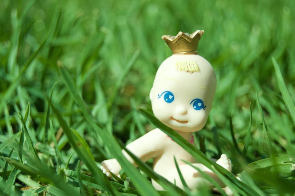plastic queen excluder