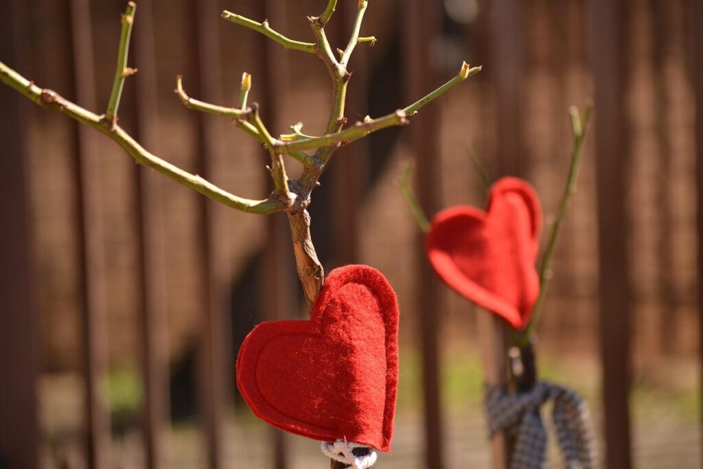 pruning roses for bee gardens
