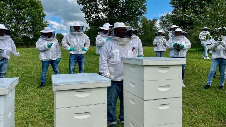 snails in canada in bee colonies