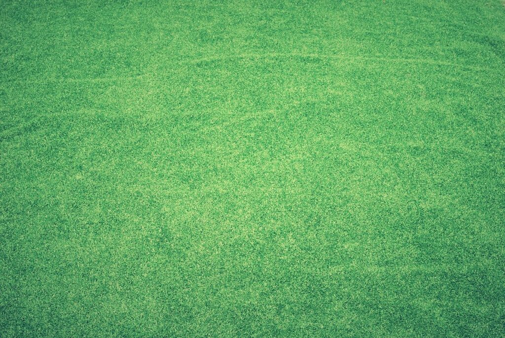 turf weeds identification for bee forage