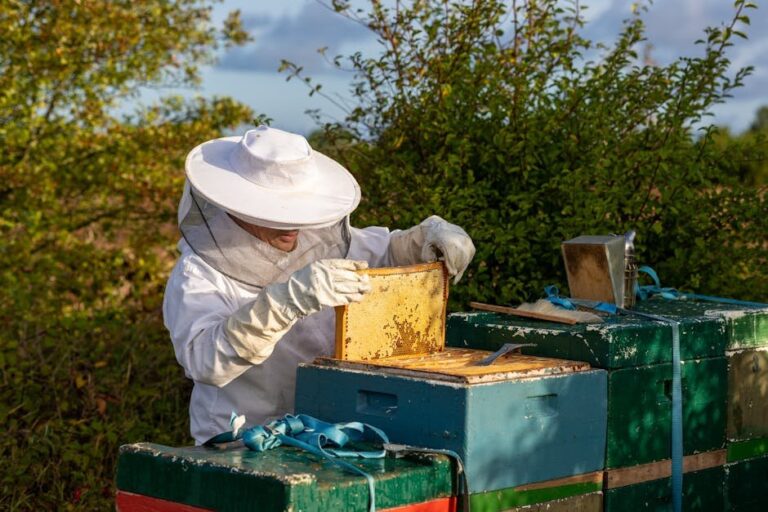 bee friendly farming practices