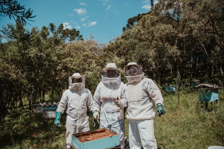 bees and humans relationship