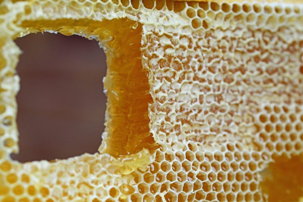 capped honey frames