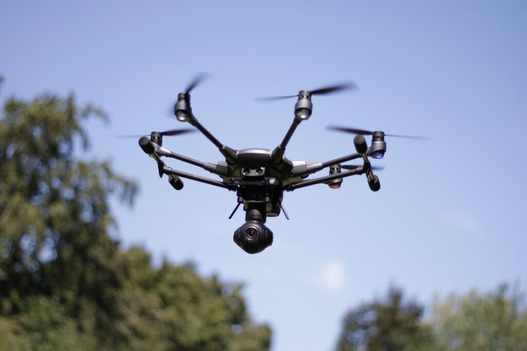 drones in a beehive