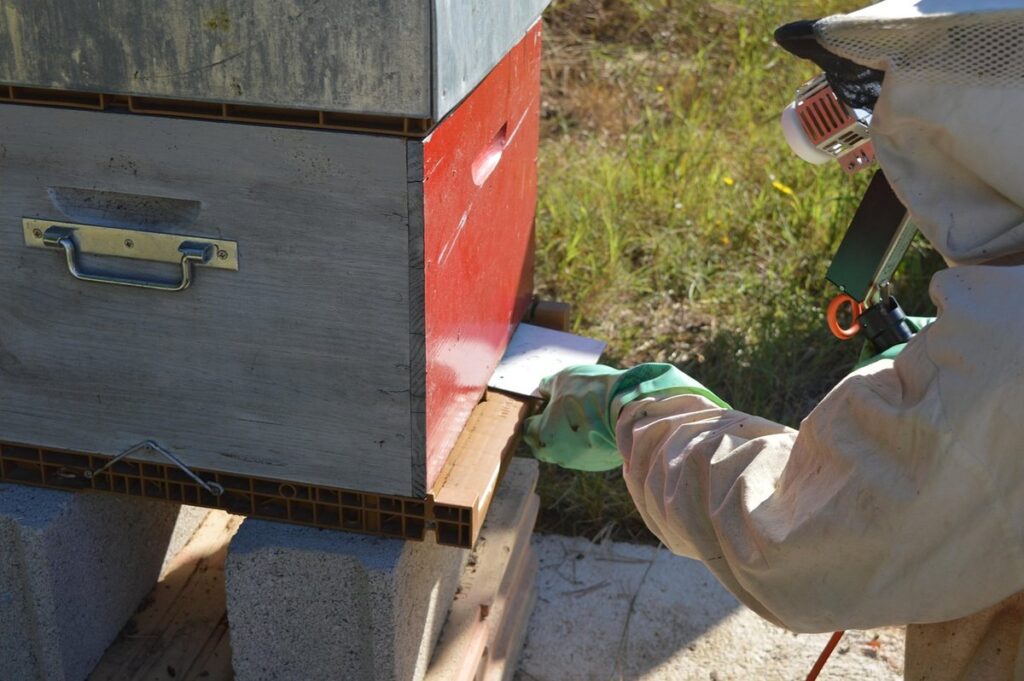 oxalic acid beekeeping