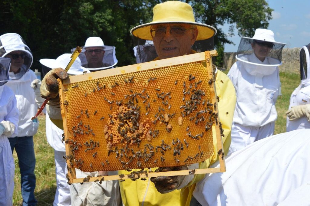 replacing failing queen