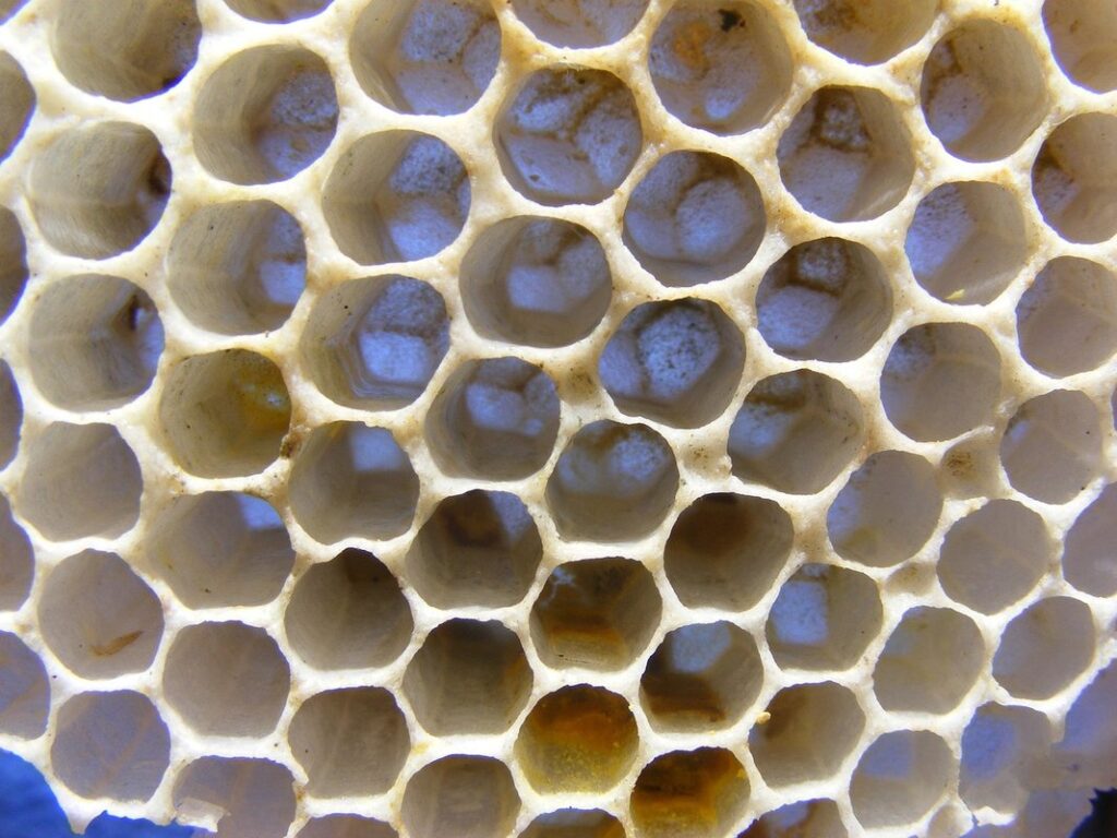 bee yard organization