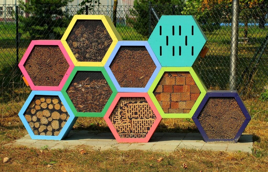 do bees hibernate during the winter