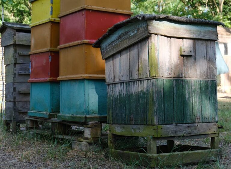 how do bees make their hives
