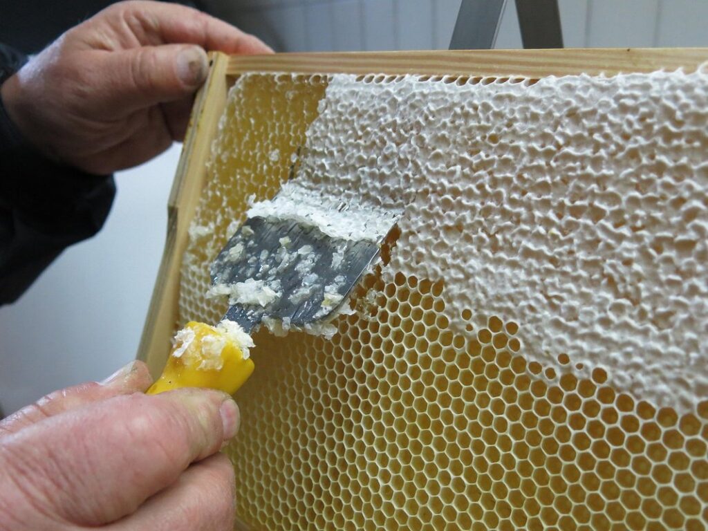 how much honey in a frame