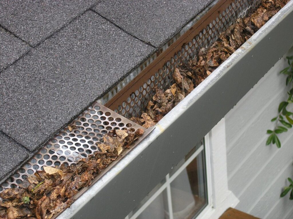 mouse guard installation