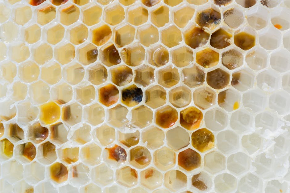 Raw honey vs processed honey -> Honey comparison