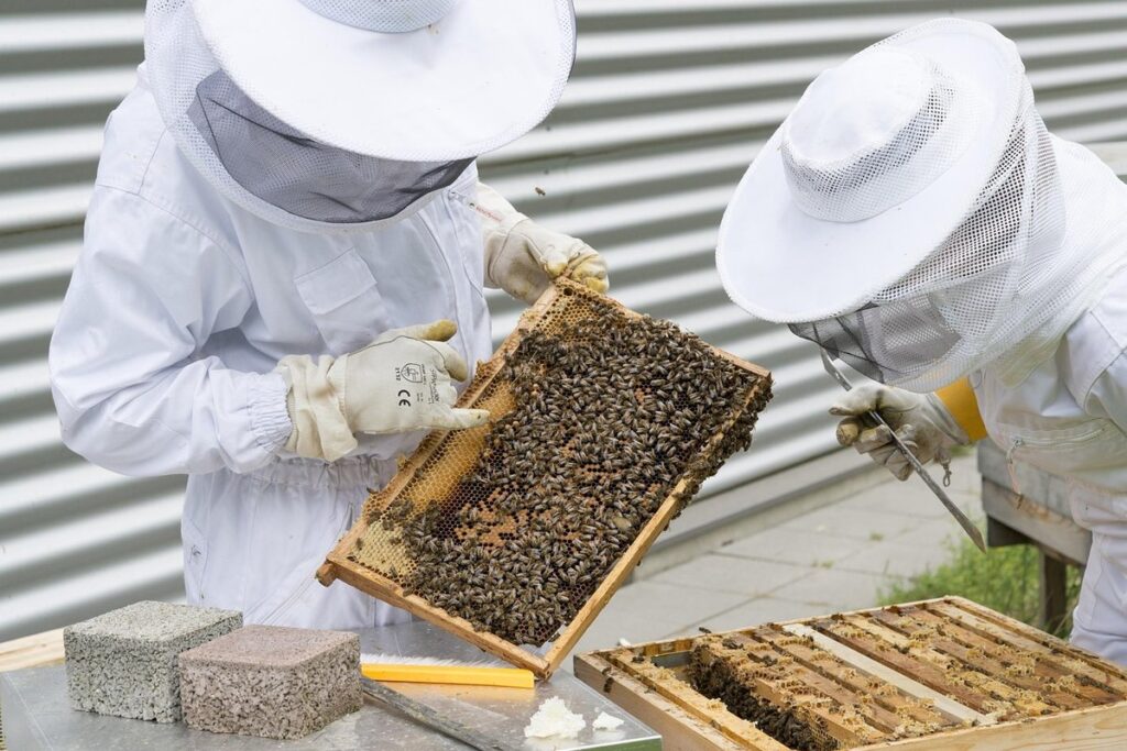 sustainable apiary management
