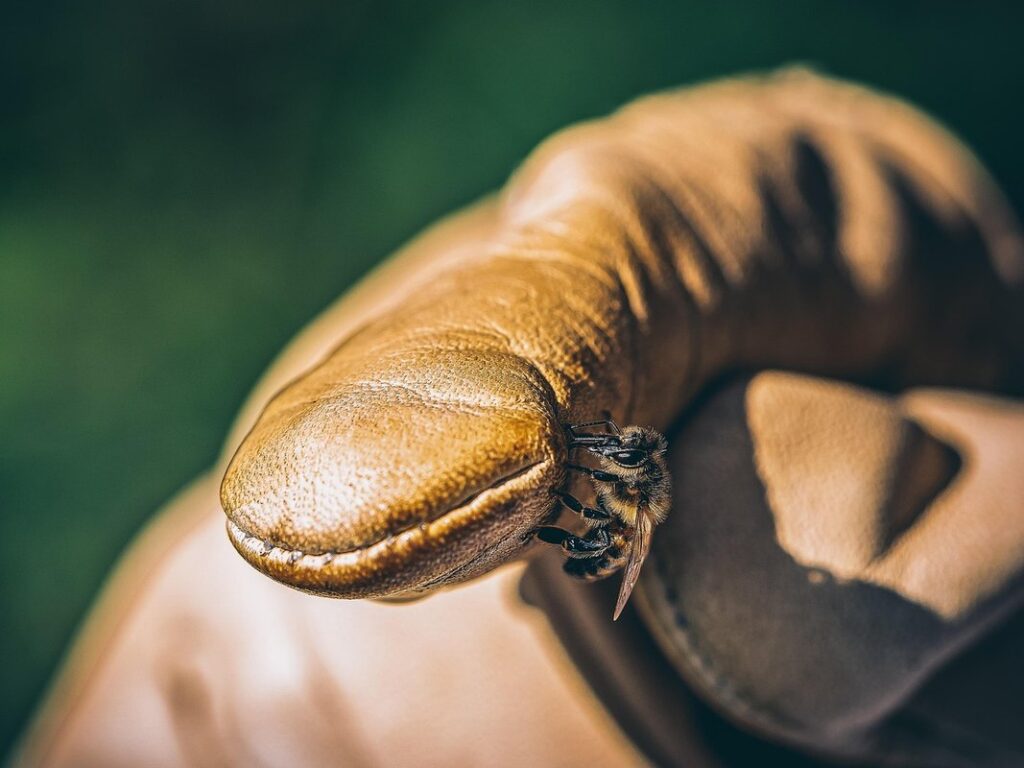 bee gloves