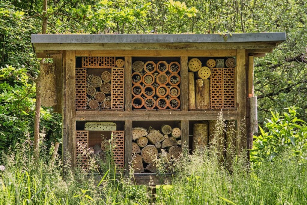 bee nesting habitat