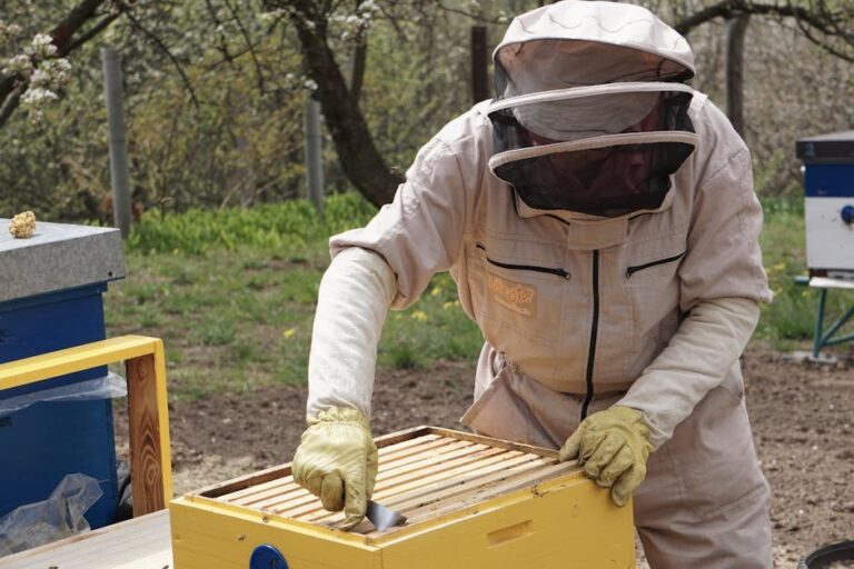 cleaning tools between hives