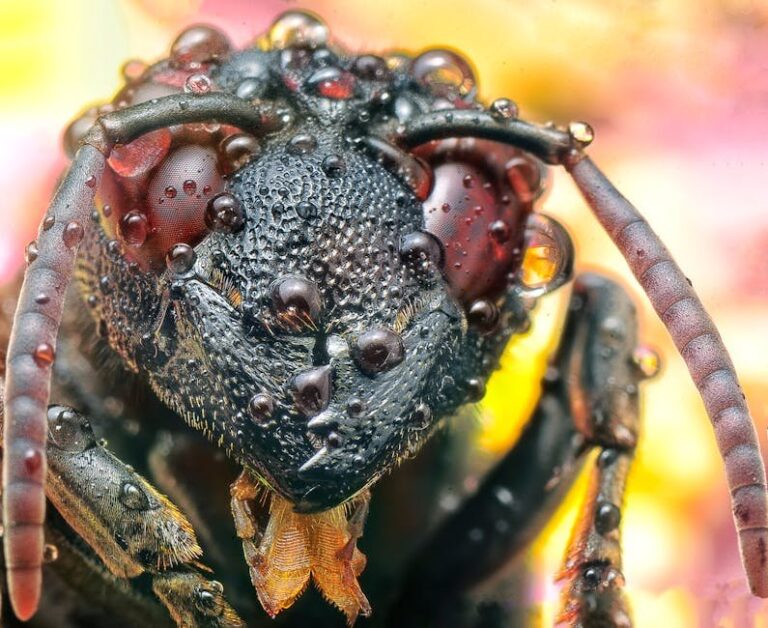 dead bees head first