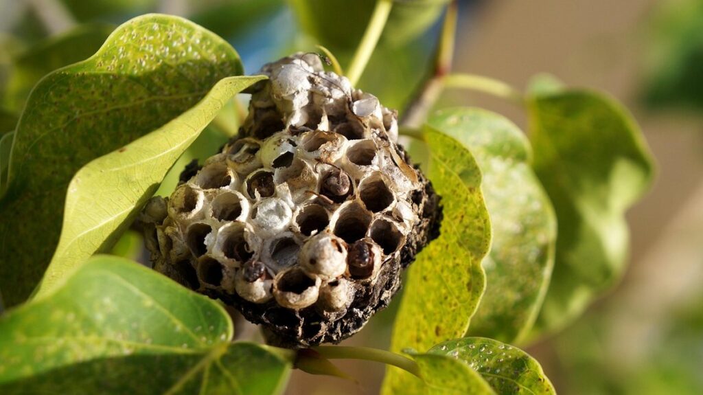 how to reduce moisture in hive