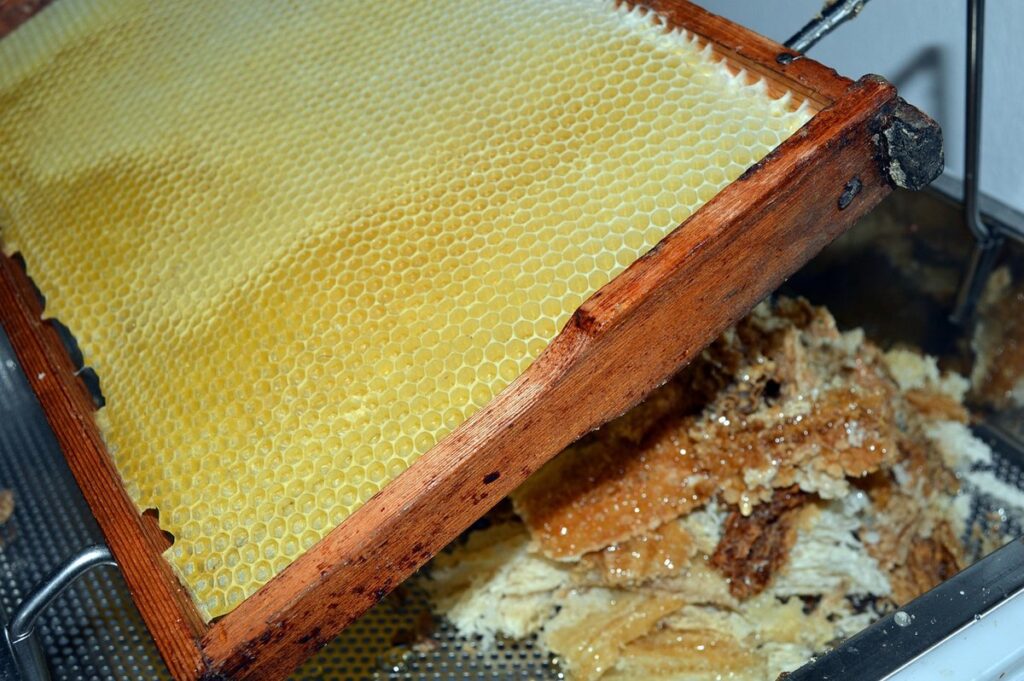 honey uncapping