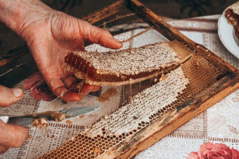 honeycomb vs extracted honey