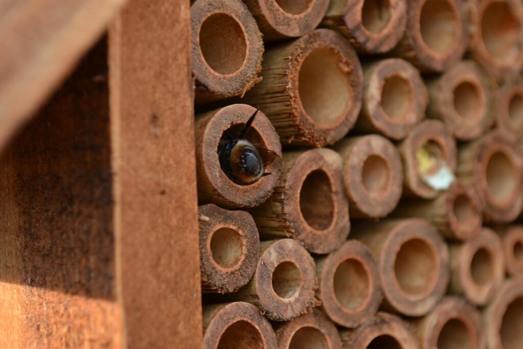 mason bee house replacement tubes
