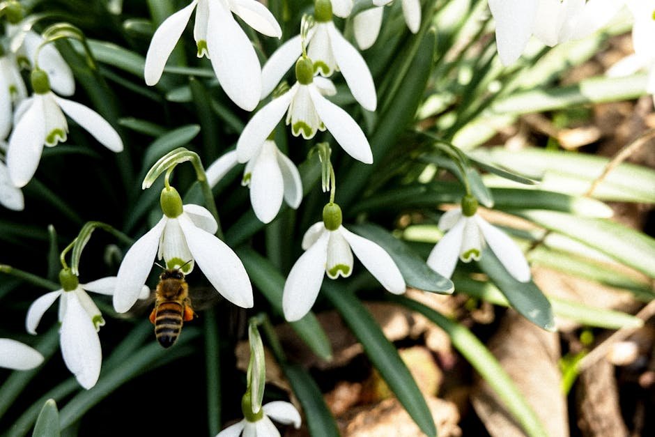Royal jelly vs bee pollen -> Bee products