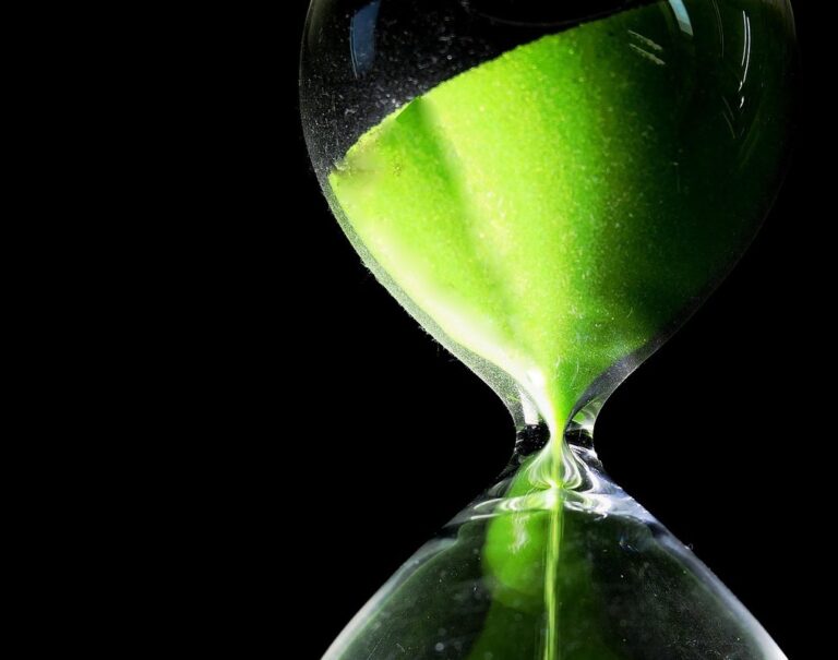 spring splitting timing