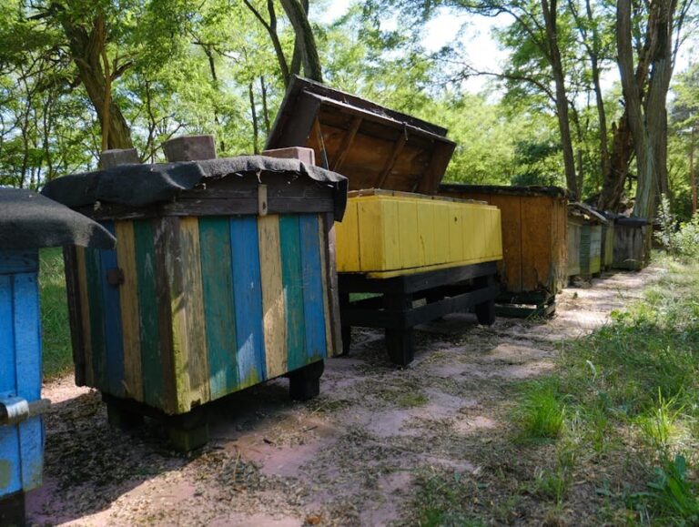 water pooling in hive