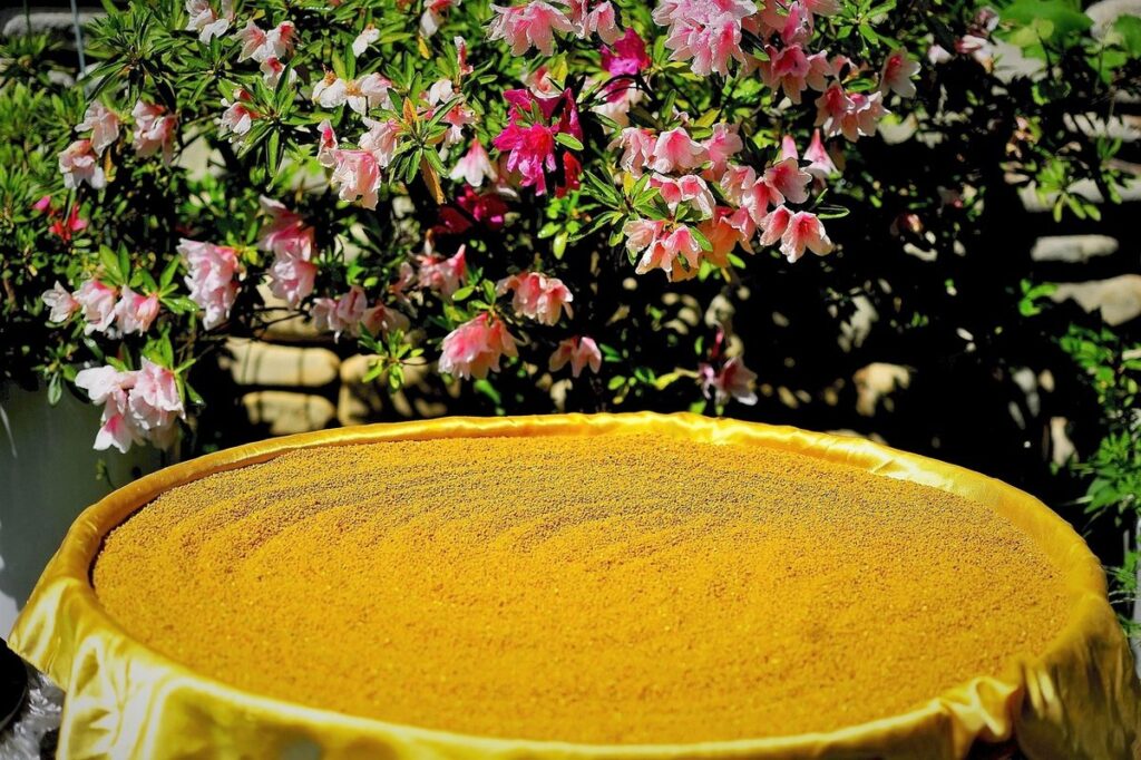 cell phones and bees